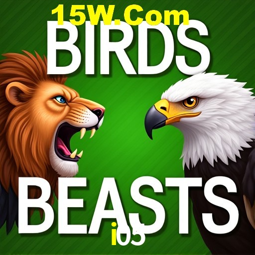 APP oficial da i05 para mobile